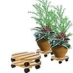 Runder Pflanzenroller im Hotelbedarf: Analyse, Vergleich und Vorteile