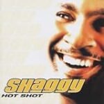 Hot Shot 3: Analyse, Vergleich und Vorteile von Hotelbedarf im Rampenlicht Hot Shot 3: Analyse, Vergleich und Vorteile von Hotelbedarf im Rampenlicht