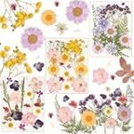 Analyse und Vergleich: Die Vorteile von gepresstem Hotelbedarf für eine effiziente Gästebetreuung Analyse und Vergleich: Die Vorteile von gepresstem Hotelbedarf für eine effiziente Gästebetreuung